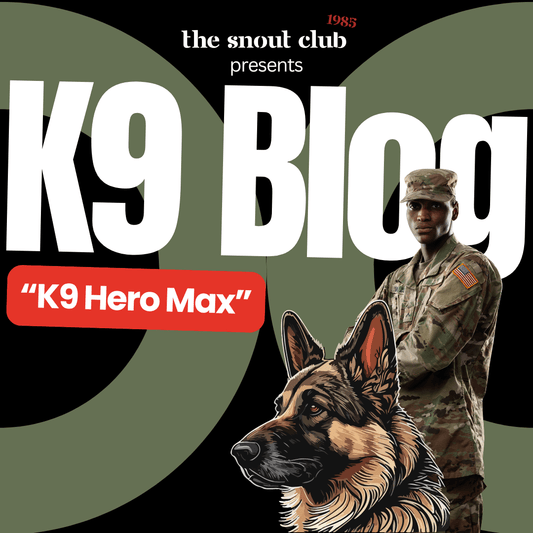 A Soldier and His K9 German Shepherd: Max’s Story of Loyalty - The snout club 1985