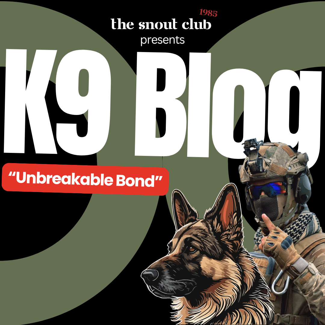 K9 Blog: Staff Sergeant Ryan and Jack: The Story of a K9 Malinois Hero - The snout club 1985