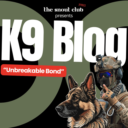 K9 Blog: Staff Sergeant Ryan and Jack: The Story of a K9 Malinois Hero - The snout club 1985